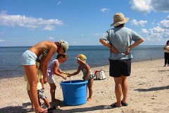 Beach Games 2005